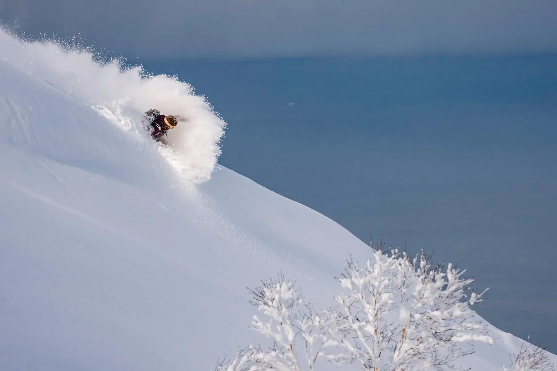 Cat Skiing